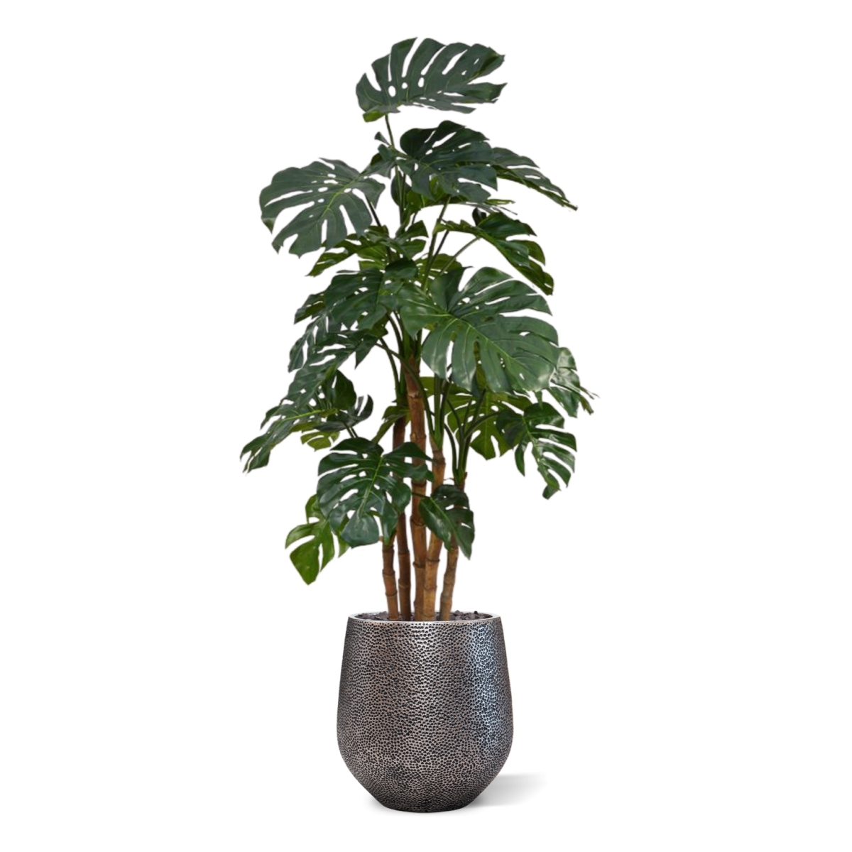Monstera deluxe x5 pianta artificiale - 180 cm