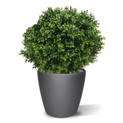 Pianta artificiale di bosso bulbo deluxe 50 cm - resistente ai raggi UV