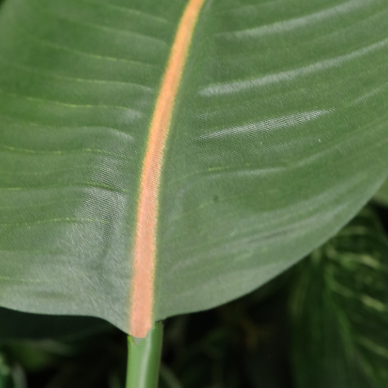 Pianta artificiale Strelitzia 95cm - verde