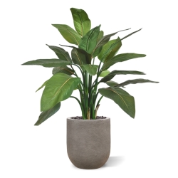 Pianta artificiale Strelitzia 95cm - verde