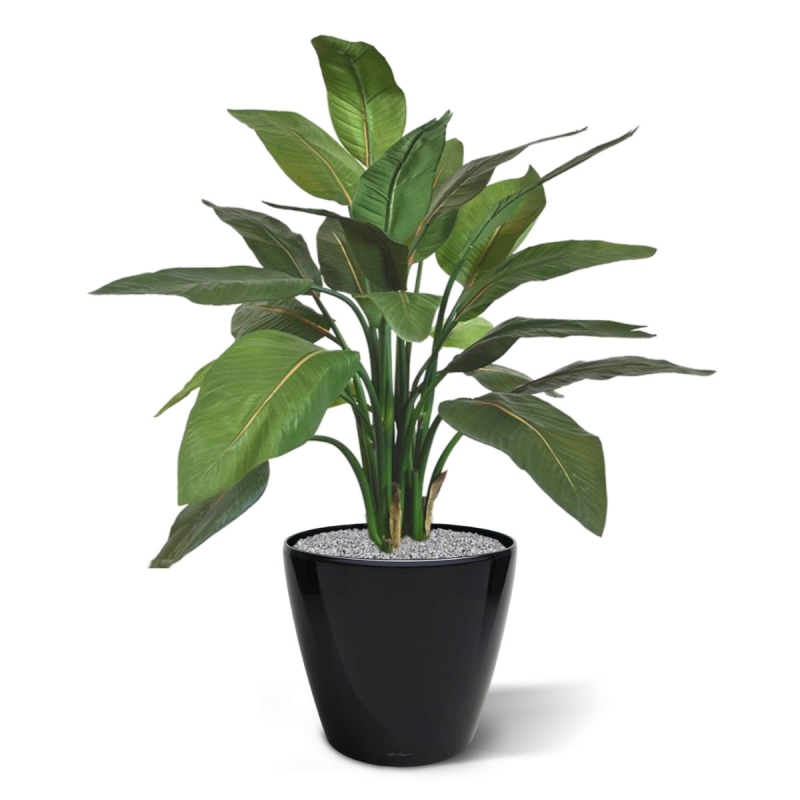 Pianta artificiale Strelitzia 95cm - verde