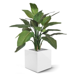 Pianta artificiale Strelitzia 95cm - verde
