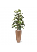 Monstera artificiale Deluxe pianta rampicante 120cm
