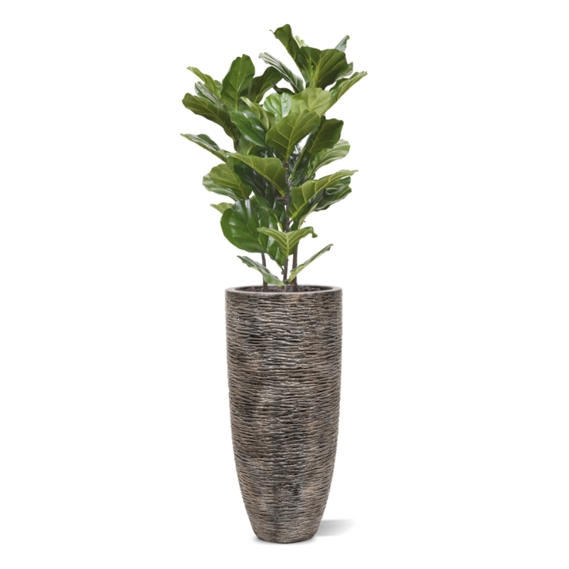 Pianta artificiale Lyrata 95 cm