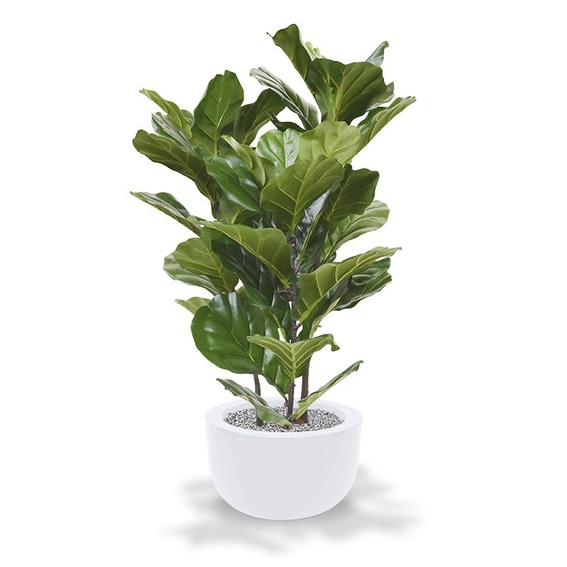 Pianta artificiale Lyrata 95 cm