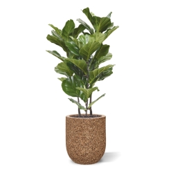 Pianta artificiale Lyrata 95 cm