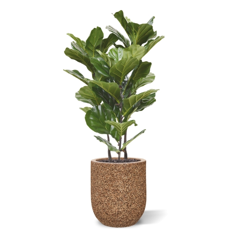 Pianta artificiale Lyrata 95 cm