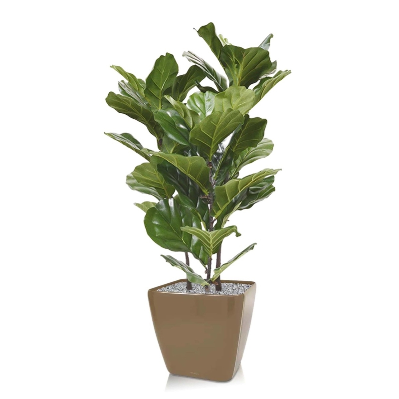 Pianta artificiale Lyrata 95 cm