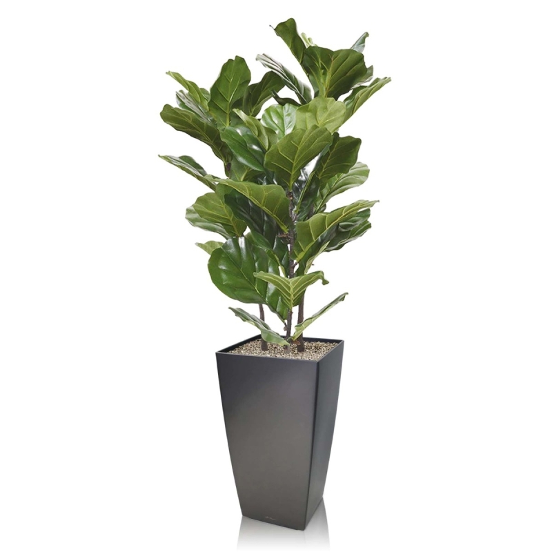 Pianta artificiale Lyrata 95 cm