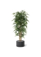 Albero di bambù artificiale 210 cm