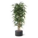 Albero di bambù artificiale 210 cm