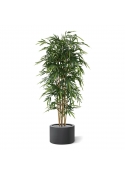 Albero di bamb&ugrave; artificiale 210 cm