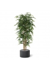 Albero di bambù artificiale 210 cm