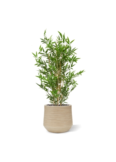 Albero artificiale di bambù giapponese 90 cm - resistente ai raggi UV