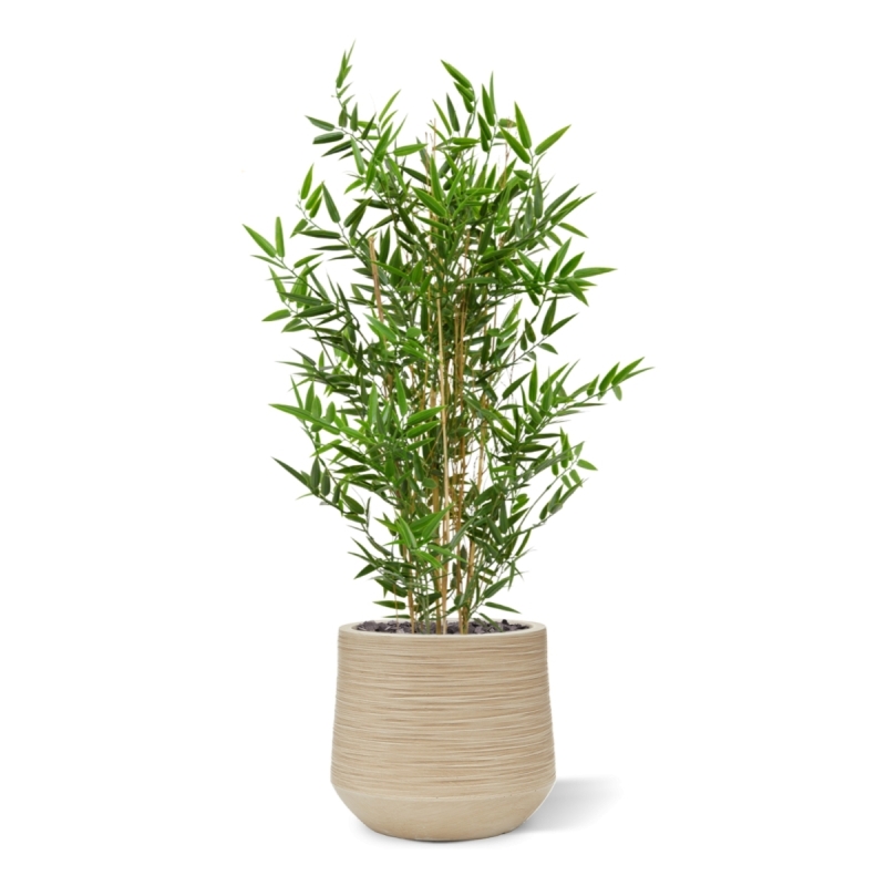 Albero artificiale di bambù giapponese 90 cm - resistente ai raggi UV