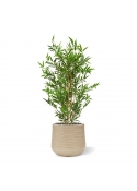 Albero artificiale di bamb&ugrave; giapponese 90 cm - resistente ai raggi UV