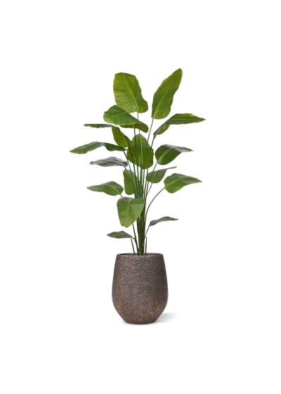 Strelitzia Nicolai artificiale pianta 210cm