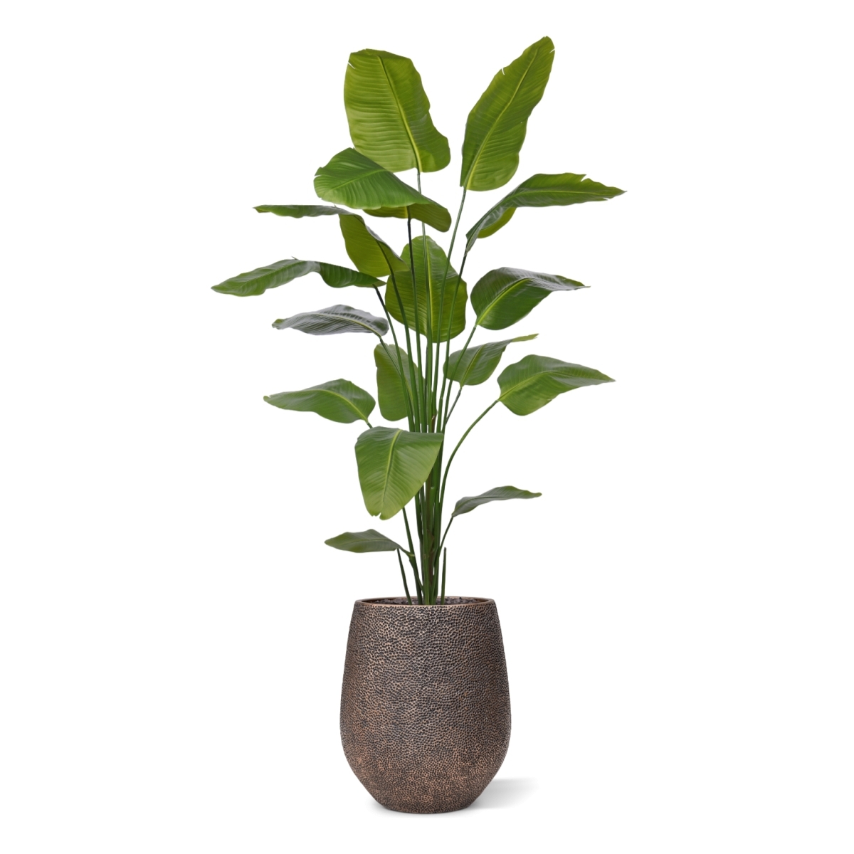 Strelitzia Nicolai artificiale pianta 210cm