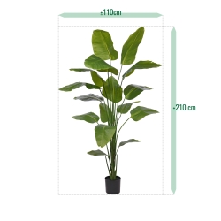 Strelitzia Nicolai artificiale pianta 210cm