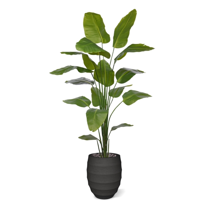 Strelitzia Nicolai artificiale pianta 210cm