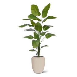 Strelitzia Nicolai artificiale pianta 210cm