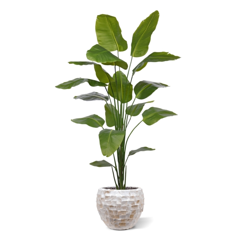 Strelitzia Nicolai artificiale pianta 210cm