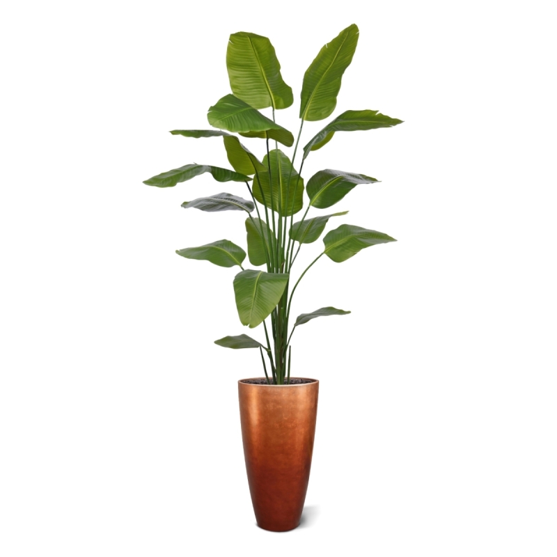 Strelitzia Nicolai artificiale pianta 210cm