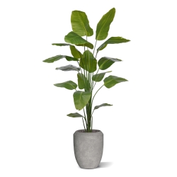 Strelitzia Nicolai artificiale pianta 210cm
