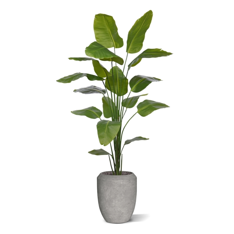 Strelitzia Nicolai artificiale pianta 210cm