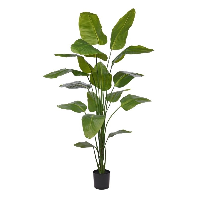 Strelitzia Nicolai artificiale pianta 210cm