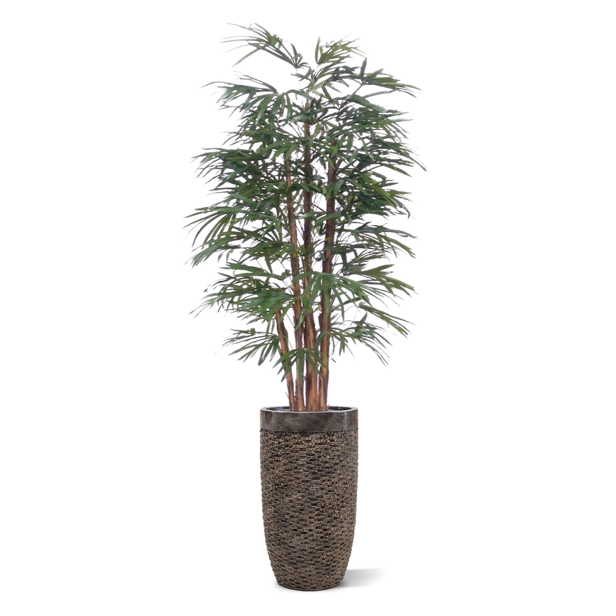 Palma artificiale Raphis 190 cm