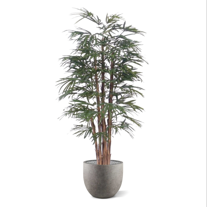 Palma artificiale Raphis 190 cm
