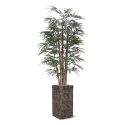 Palma artificiale Raphis 190 cm