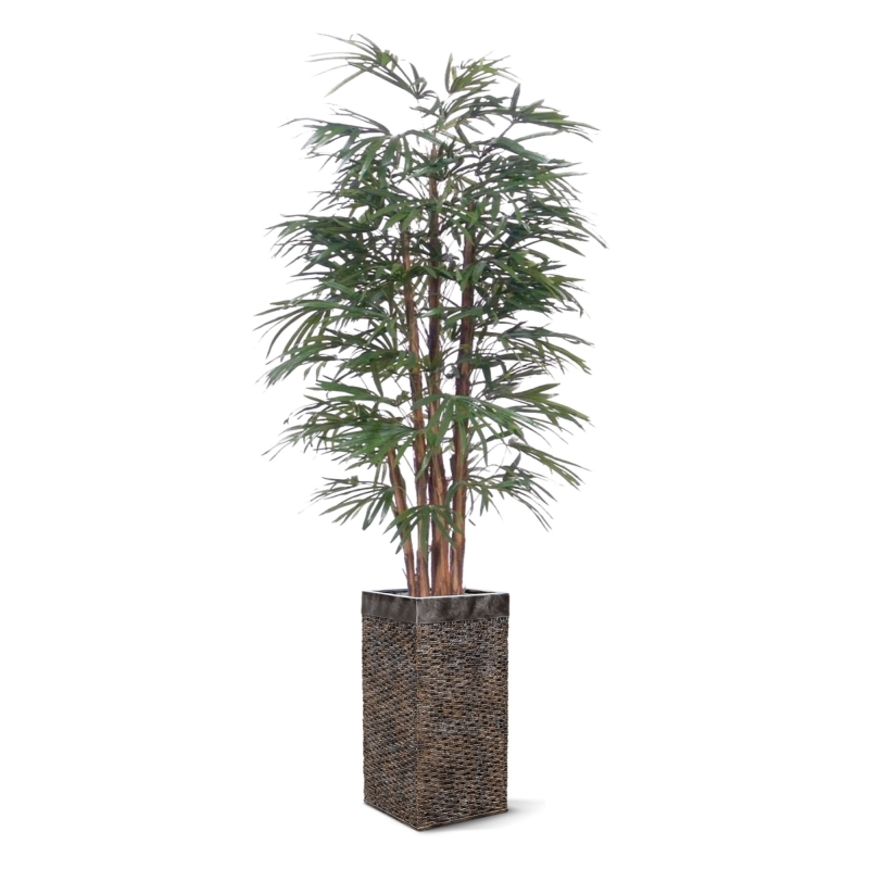 Palma artificiale Raphis 190 cm