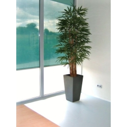 Palma artificiale Raphis 190 cm