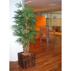Palma artificiale Raphis 190 cm