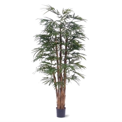 Palma artificiale Raphis 190 cm