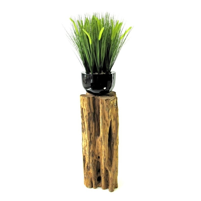 Bouquet di Pennisetum foxtailgrass 50cm
