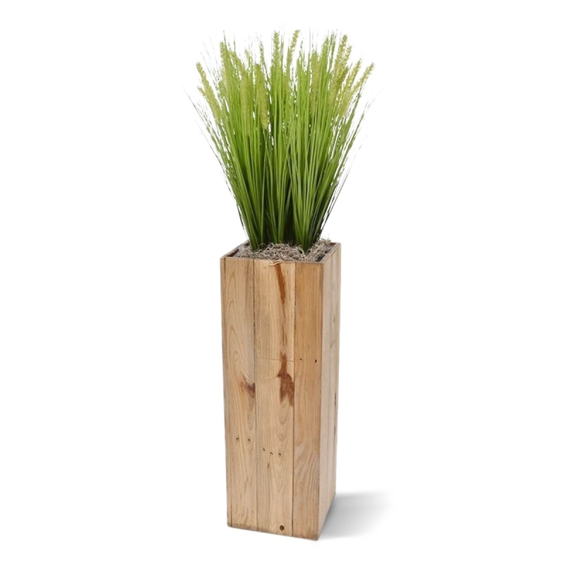 Bouquet di Pennisetum foxtailgrass 50cm