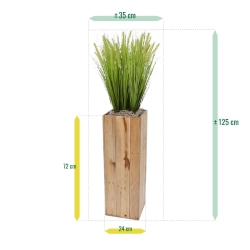 Bouquet di Pennisetum foxtailgrass 50cm
