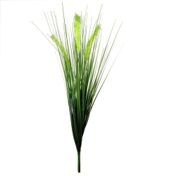 Bouquet di Pennisetum foxtailgrass 50cm