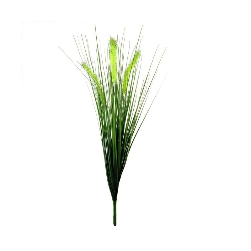 Bouquet di Pennisetum foxtailgrass 50cm