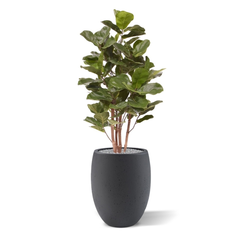 Pianta artificiale Royal Lyrata 105 cm