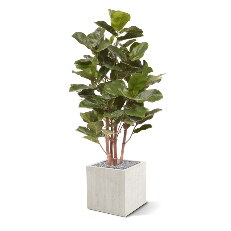 Pianta artificiale Royal Lyrata 105 cm