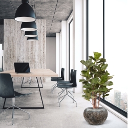 Pianta artificiale Royal Lyrata 105 cm