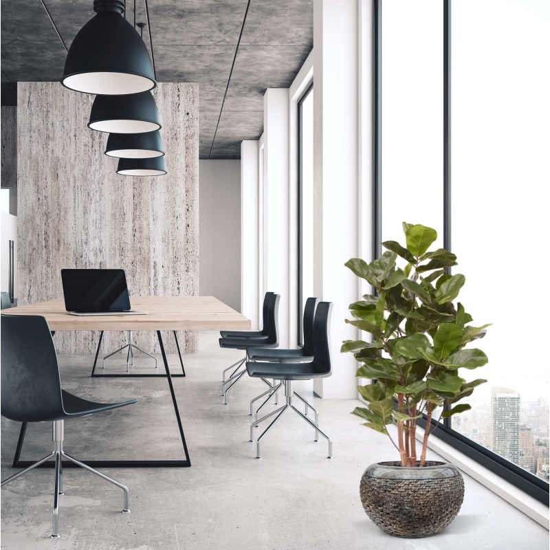 Pianta artificiale Royal Lyrata 105 cm