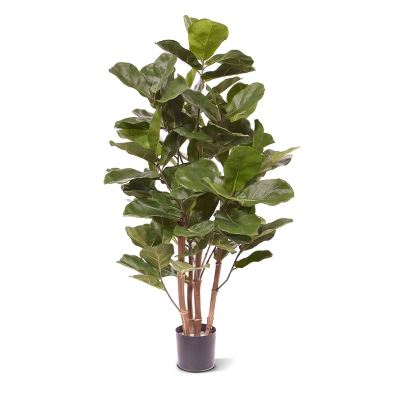 Pianta artificiale Royal Lyrata 105 cm