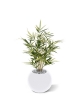 Pianta artificiale Royal Bamboo 70 cm - variegata