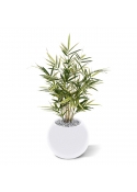 Pianta artificiale Royal Bamboo 70 cm - variegata