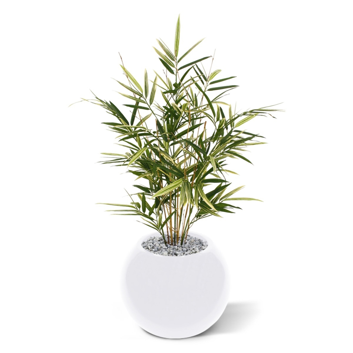 Pianta artificiale Royal Bamboo 70 cm - variegata